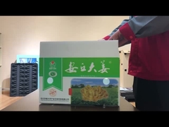 Hộp rau bằng ván rỗng PP