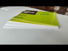 Bảng rỗng nhựa