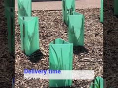 Bảo vệ cây nhựa