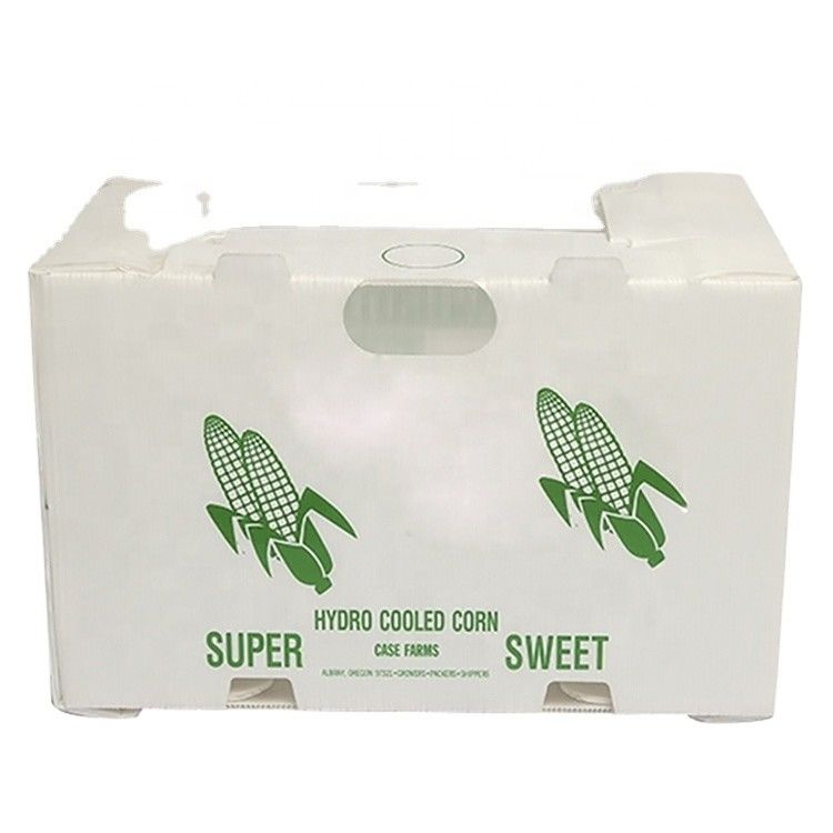 Correx Fruit Box PP Box nhựa lồi cho rau và nông nghiệp