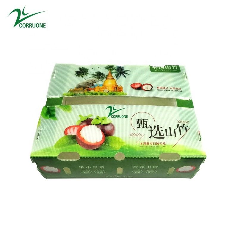 Tùy chỉnh môi trường thân thiện hộp nhựa đục đục cho bông cải xanh và bắp hộp Correx bắp bông cải xanh và nông nghiệp đóng gói