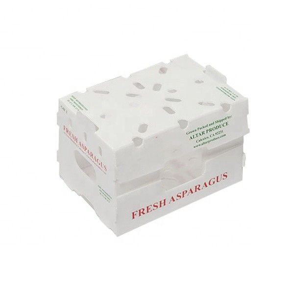Correx Fruit Box PP Box nhựa lồi cho rau và nông nghiệp