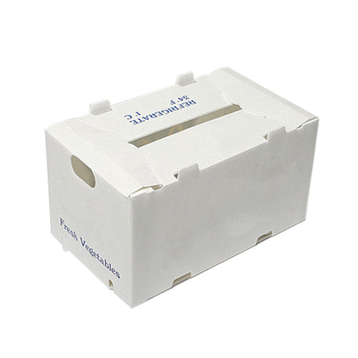 Correx Fruit Box PP Box nhựa lồi cho rau và nông nghiệp
