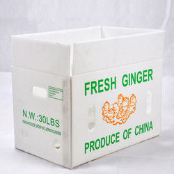 Corflute Correx Corn Broccoli và nông nghiệp Bao bì chống nước chống ăn mòn và chống cháy