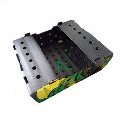 Các hộp đục gỗ bền từ rau được thiết kế để lưu trữ và vận chuyển tốt nhất