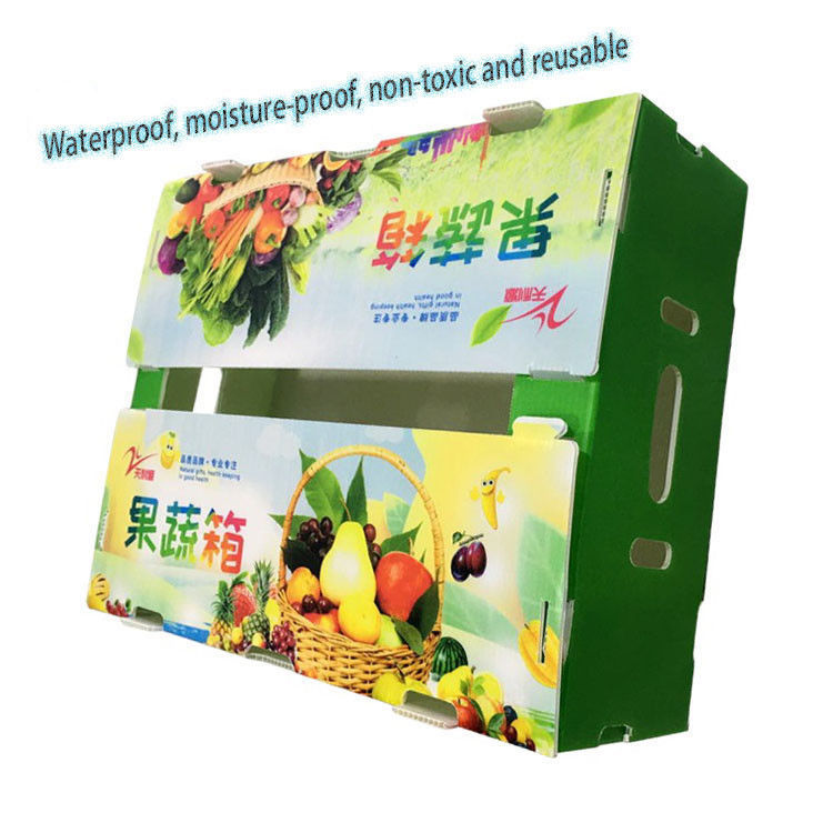 Corflute Correx Corn Broccoli và nông nghiệp Bao bì chống nước chống ăn mòn và chống cháy