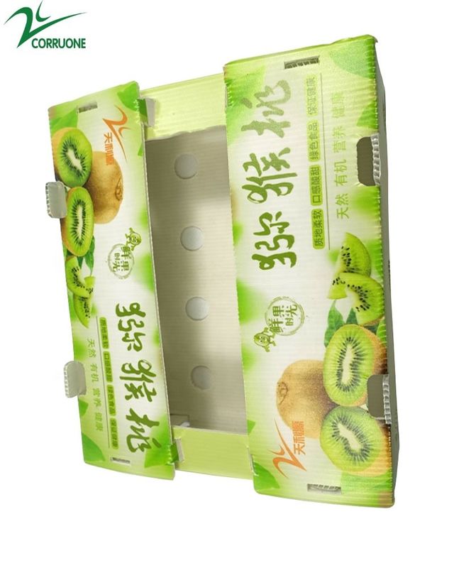 Hộp đúc rau có thể tùy chỉnh cho các kích thước và yêu cầu khác nhau