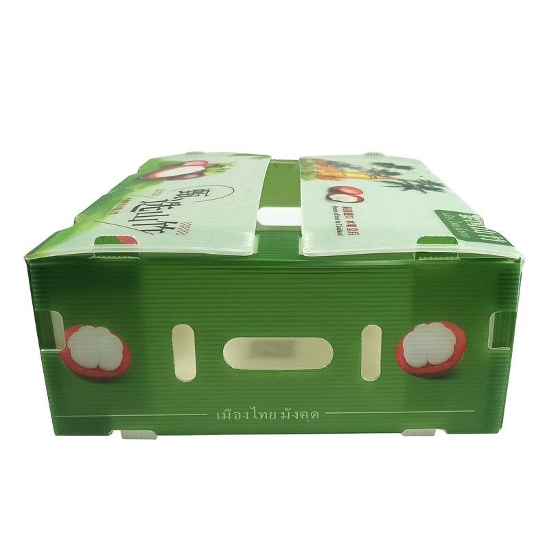 Corflute Correx Corn Broccoli và nông nghiệp Bao bì chống nước chống ăn mòn và chống cháy