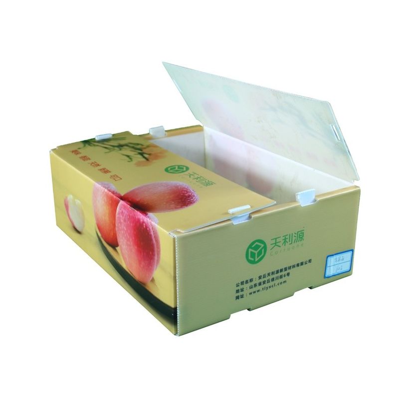 Corruone Không thấm nước Gập polypropylen nhựa lợp trái cây rau quả ếch ếch / Gừng / Taro / Okra Hộp đóng gói