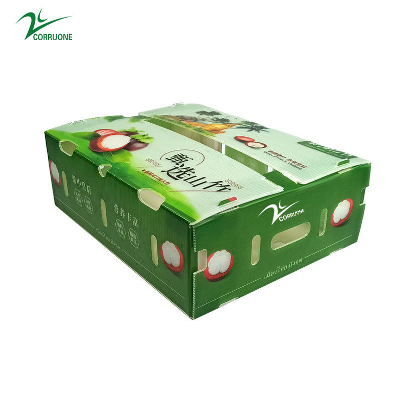 Bao bì trái cây và rau quả tùy chỉnh Hộp nhựa lồi lồi Hộp đóng gói PP