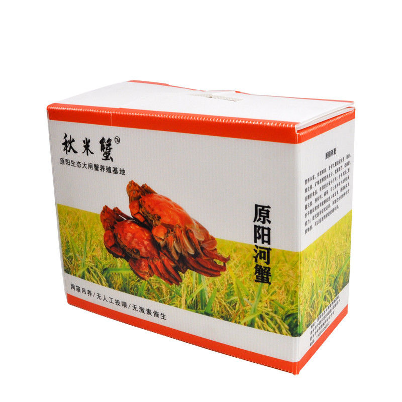 Corruone gấp PP nhựa lồi Danpla Box Polypropylene hộp tấm nhựa lồi hộp lưu trữ
