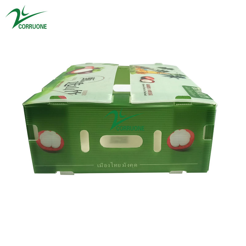 Corruone gấp PP nhựa lồi Danpla Box Polypropylene hộp tấm nhựa lồi hộp lưu trữ