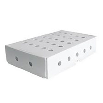 Corruone PP polypropylene 5 KG & 10 KG Custom Waterproof Frozen Meat or Seafood Packaging Boxes Hộp đóng gói thịt đông lạnh hoặc hải sản
