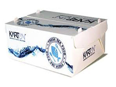 Corruone PP polypropylene 5 KG & 10 KG Custom Waterproof Frozen Meat or Seafood Packaging Boxes Hộp đóng gói thịt đông lạnh hoặc hải sản