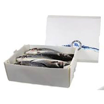 Corruone PP polypropylene 5 KG & 10 KG Custom Waterproof Frozen Meat or Seafood Packaging Boxes Hộp đóng gói thịt đông lạnh hoặc hải sản