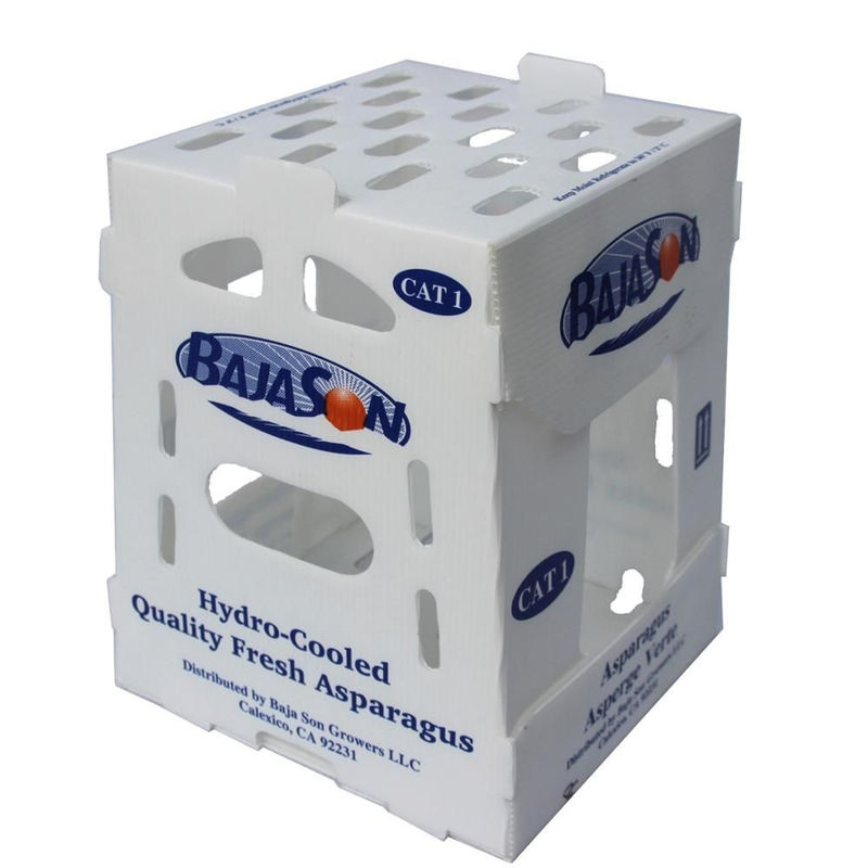 Hộp nhựa PP Correx 5 mm 6 mm cho trái cây và rau quả