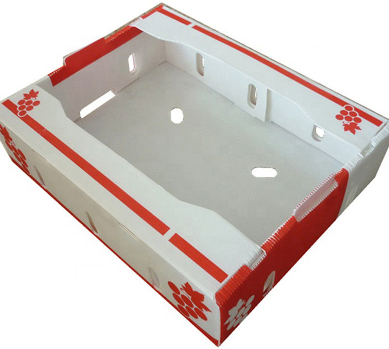 Rau bina Tấm nhựa Sản xuất Hộp Hộp lưu trữ Corflute 2 mm