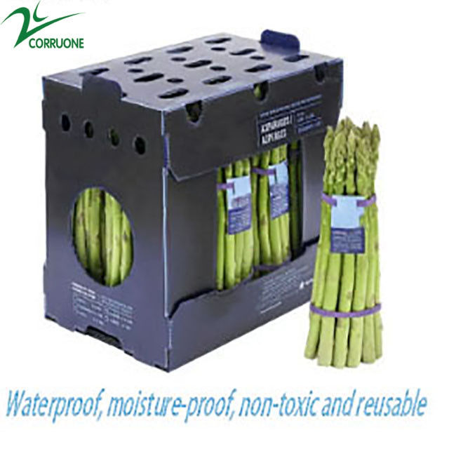 Rau bina Tấm nhựa Sản xuất Hộp Hộp lưu trữ Corflute 2 mm