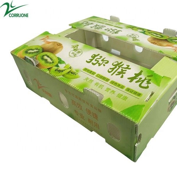 Rau bina Tấm nhựa Sản xuất Hộp Hộp lưu trữ Corflute 2 mm