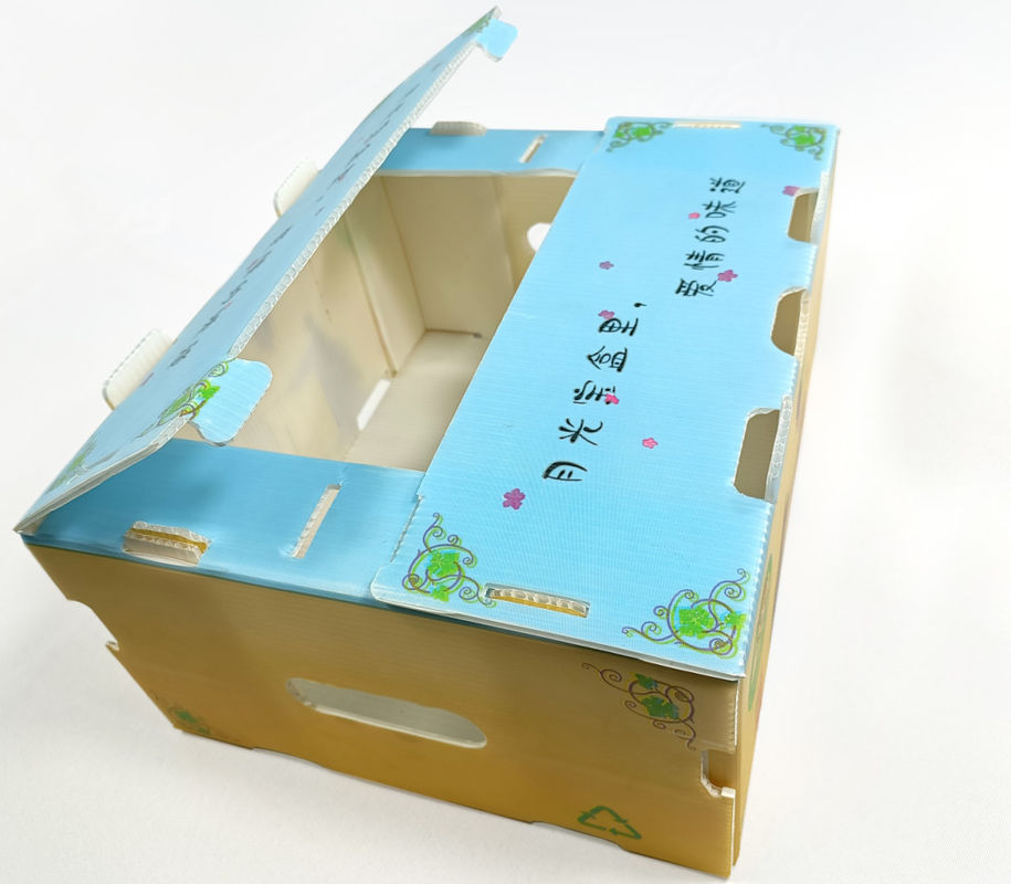 Rau bina Tấm nhựa Sản xuất Hộp Hộp lưu trữ Corflute 2 mm
