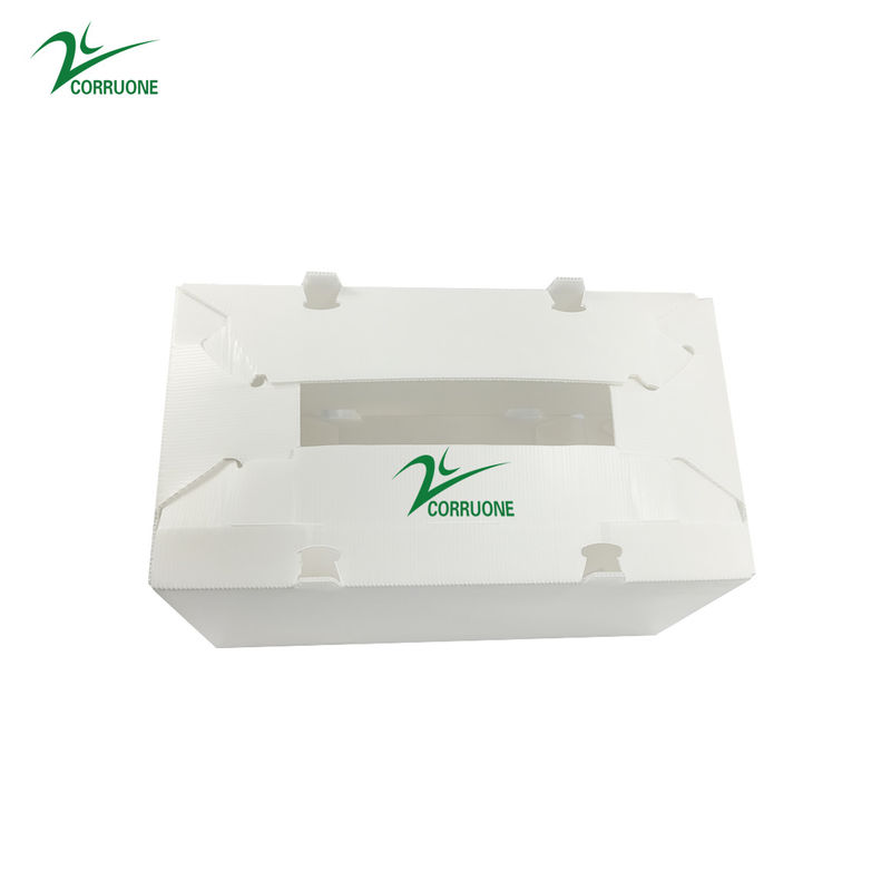Rau bina Tấm nhựa Sản xuất Hộp Hộp lưu trữ Corflute 2 mm