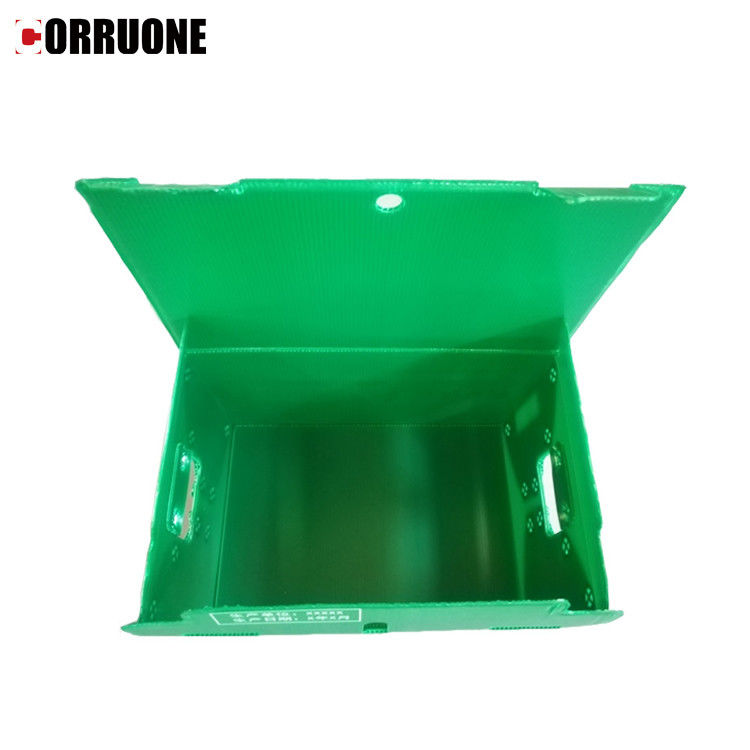 Hộp sóng Correx PP chống thấm nước Hộp lưu trữ Corflute dày 12 mm