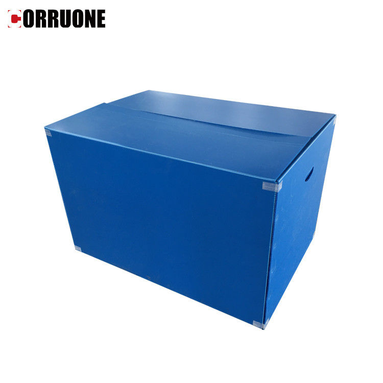 Hộp sóng Correx PP chống thấm nước Hộp lưu trữ Corflute dày 12 mm