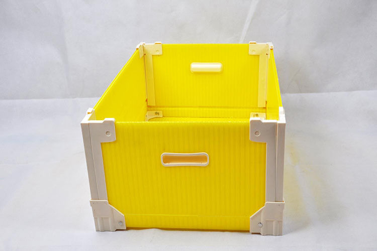 Hộp sóng Correx PP chống thấm nước Hộp lưu trữ Corflute dày 12 mm