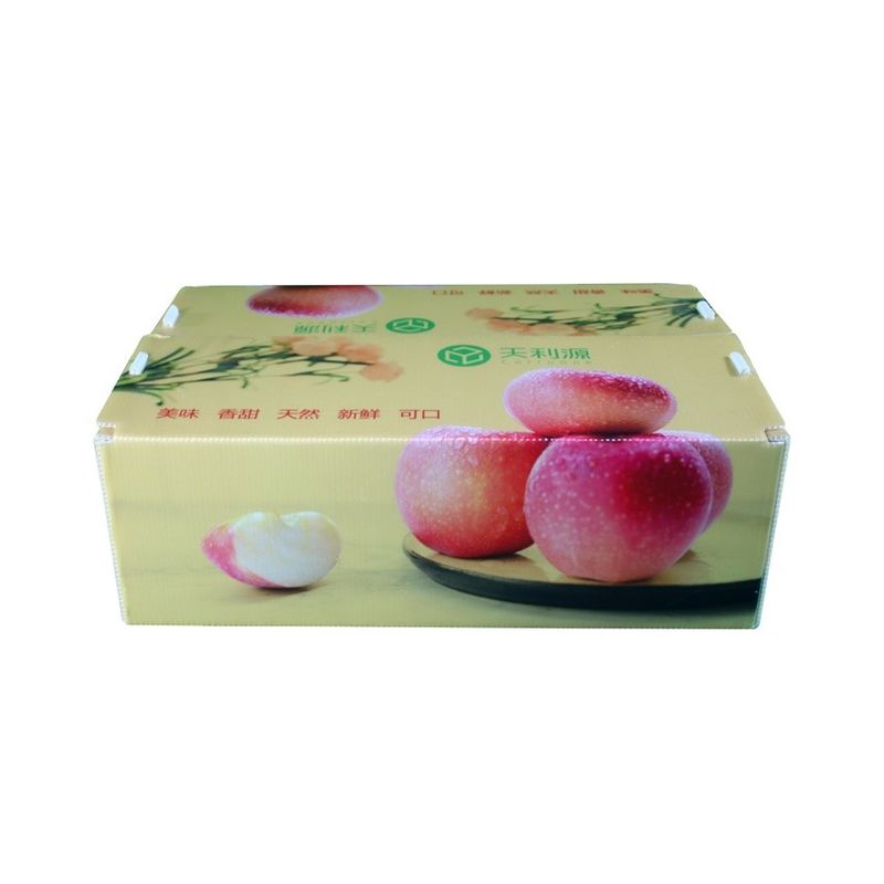 Twinwall PP Hộp sóng Hộp đựng thực phẩm Corflute cấp cho trái cây Rau quả