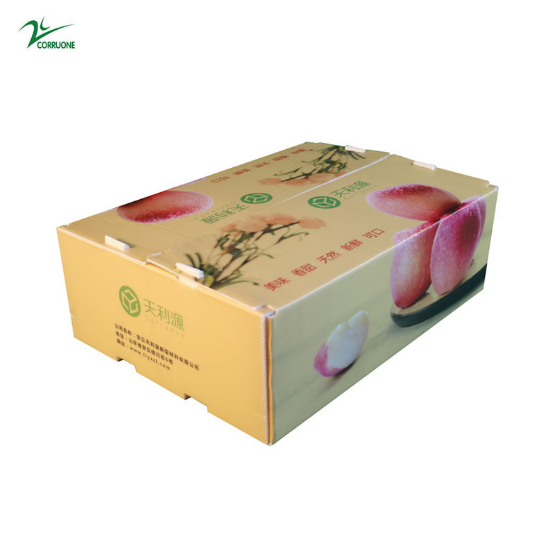 Twinwall PP Hộp sóng Hộp đựng thực phẩm Corflute cấp cho trái cây Rau quả