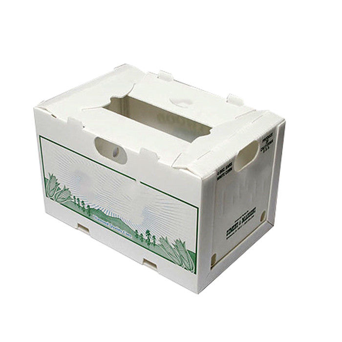 Hộp di chuyển bằng nhựa sóng ngô 3,5 mm In cán mờ