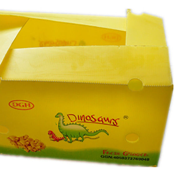 Bao bì trái cây rau quả PP CartonPlast Grapes Bao bì hộp nhựa hộp bông cải xanh