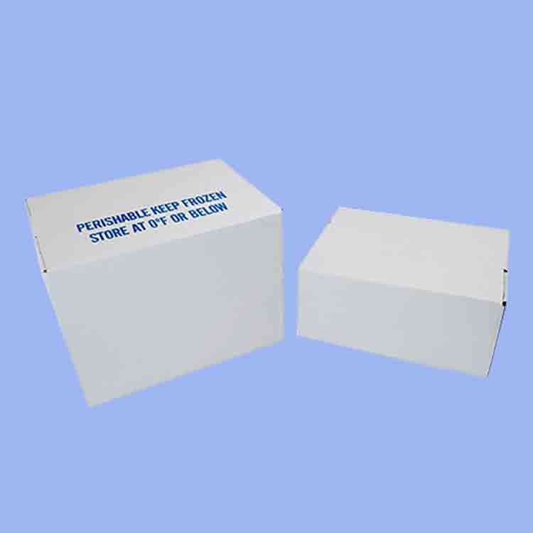 Hộp nhựa lồi PP cho rau và trái cây Hộp bông cải xanh và nông nghiệp Hộp đóng gói