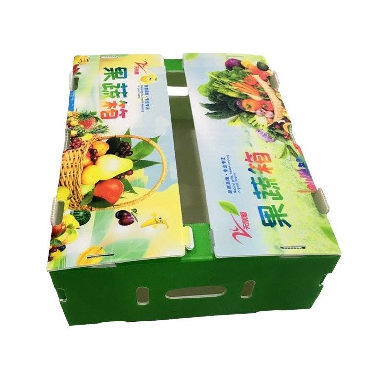 Hộp nhựa lồi PP mới năm 2023 cho hộp rau và trái cây