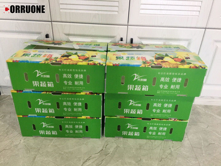 Hộp nhựa lồi PP cho rau và trái cây Hộp bông cải xanh và nông nghiệp Hộp đóng gói