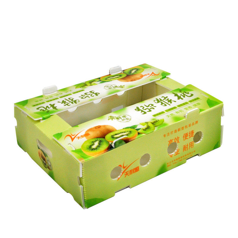 Hộp Coroplast tùy chỉnh Hộp tôn thực vật cho ớt đỏ