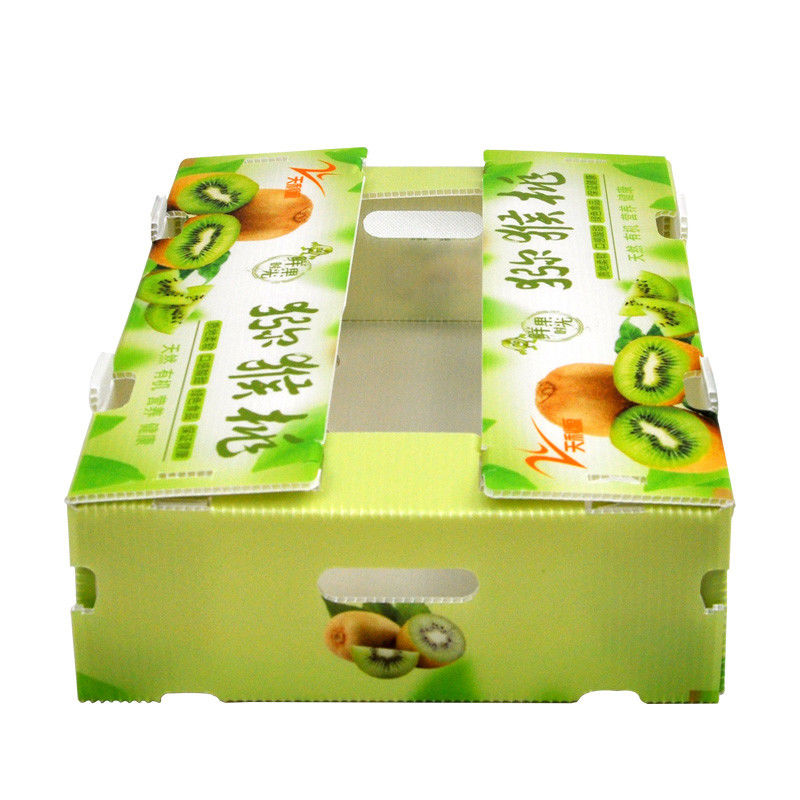 Hộp Coroplast tùy chỉnh Hộp tôn thực vật cho ớt đỏ