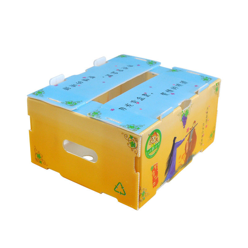 Correx Ngô Rau hộp sóng Hộp vận chuyển nhựa sóng