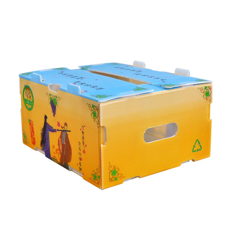 Correx Ngô Rau hộp sóng Hộp vận chuyển nhựa sóng