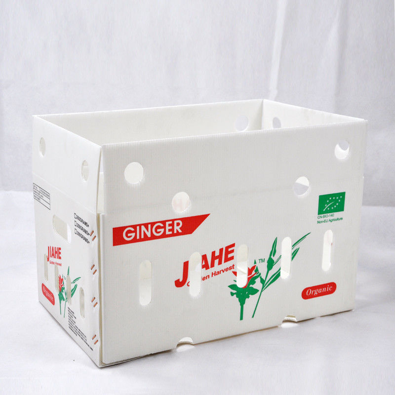 Mới 2023 hộp nhựa đục lỏng cho trái cây và rau quả giá thấp