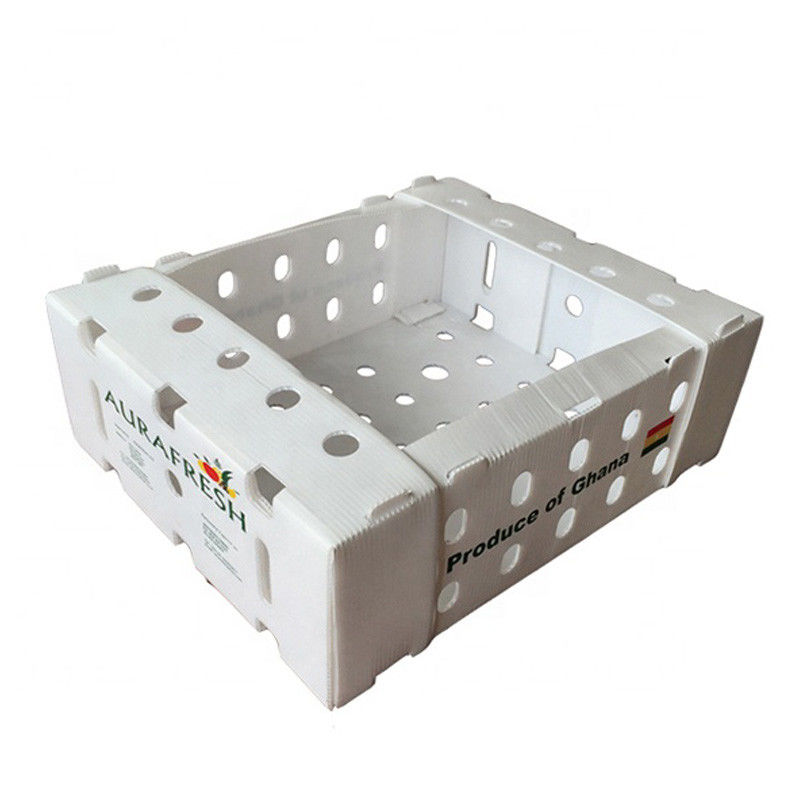 Hộp ngô Corflute Hộp rau Hộp có thể tái chế Kích thước tùy chỉnh