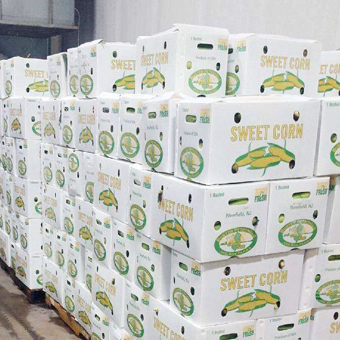 Corruone Không thấm nước Gập polypropylen nhựa lợp trái cây rau quả ếch ếch / Gừng / Taro / Okra Hộp đóng gói