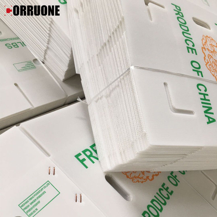 Bao bì trái cây rau quả PP CartonPlast Grapes Bao bì hộp nhựa hộp bông cải xanh