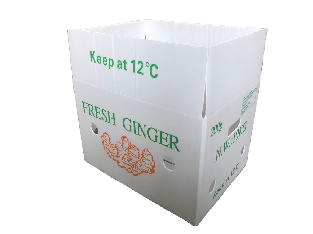 Bao bì trái cây rau quả PP CartonPlast Grapes Bao bì hộp nhựa hộp bông cải xanh