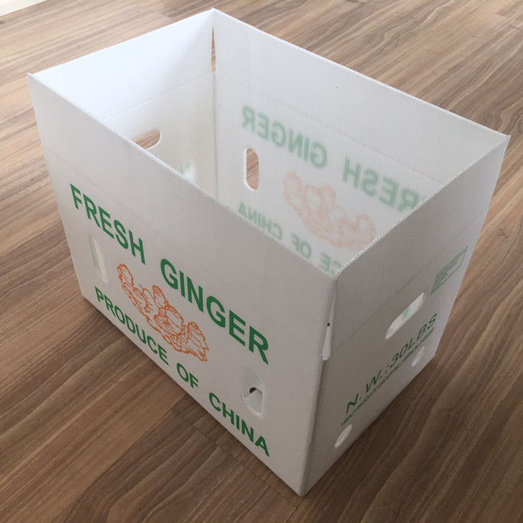 Bao bì trái cây rau quả PP CartonPlast Grapes Bao bì hộp nhựa hộp bông cải xanh