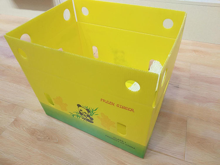 Hộp sóng xoài 3,5mm Hộp sóng Cartonplast để đóng gói trái cây