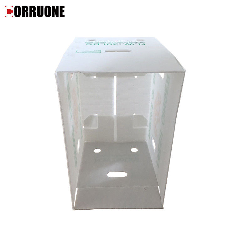 Hộp sóng xoài 3,5mm Hộp sóng Cartonplast để đóng gói trái cây
