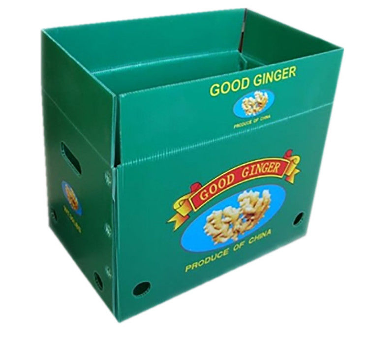 Bao bì trái cây rau quả PP CartonPlast Grapes Bao bì hộp nhựa hộp bông cải xanh