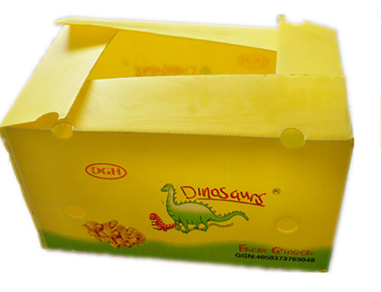 Bao bì trái cây rau quả PP CartonPlast Grapes Bao bì hộp nhựa hộp bông cải xanh
