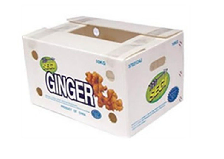 Bao bì trái cây rau quả PP CartonPlast Grapes Bao bì hộp nhựa hộp bông cải xanh